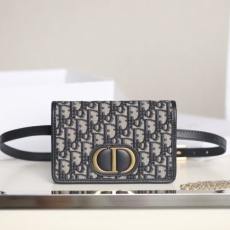 Christian Dior Montaigne Bags